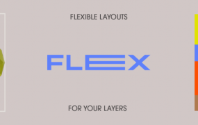 图形动态自适应对齐Ae脚本 Flex v1.1.3